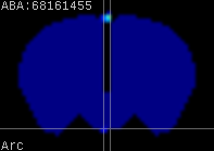 ABA expression energy