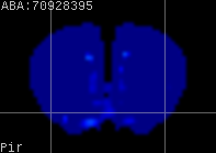 ABA expression energy