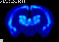 ABA expression energy