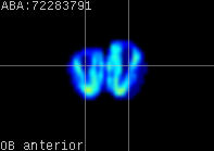 ABA expression energy