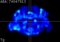 ABA expression energy