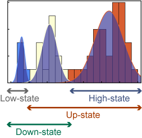 Multi-state gene states