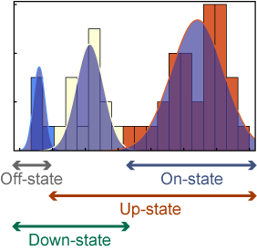 Switch-like gene states