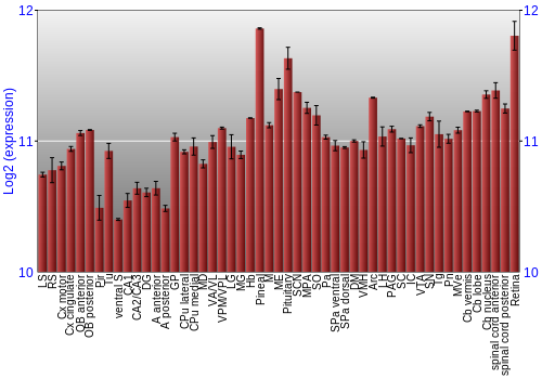 Expression graph