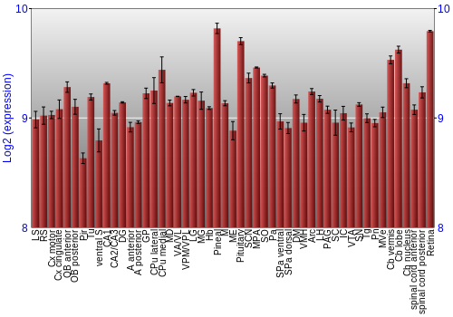 Expression graph