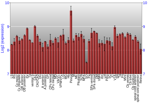 Expression graph