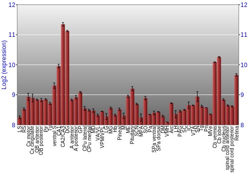 Expression graph
