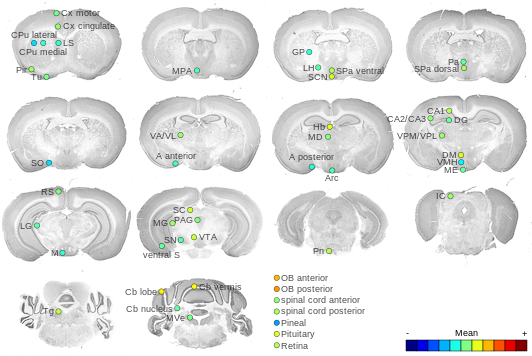 Expression map