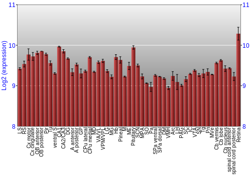 Expression graph