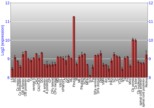 Expression graph