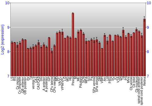 Expression graph
