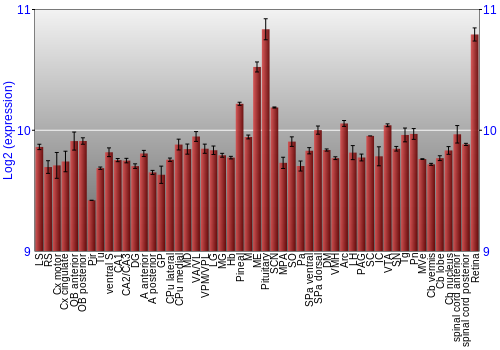 Expression graph