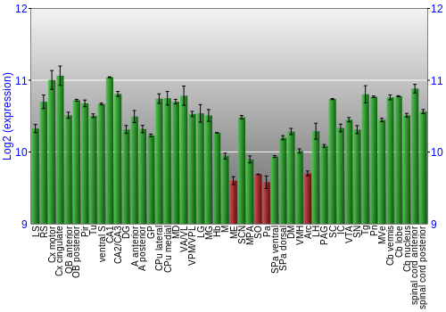 Multi-state expression graph