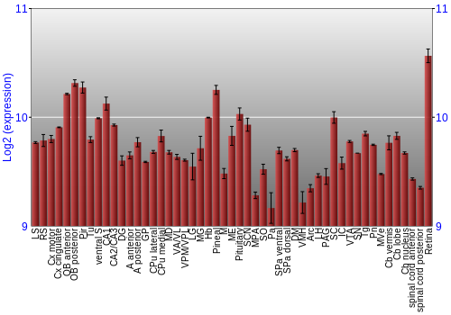 Expression graph
