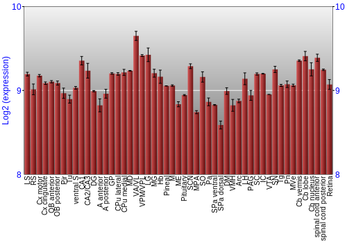 Expression graph