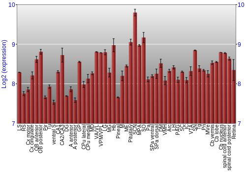 Expression graph