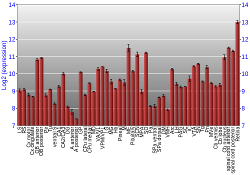 Expression graph