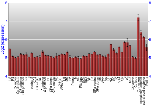 Expression graph