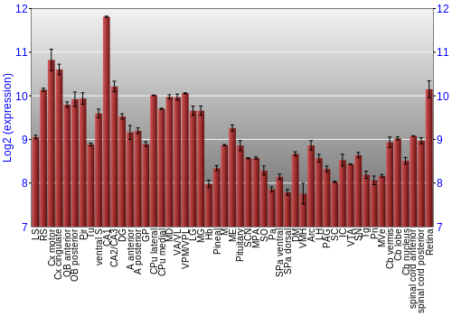 Expression graph
