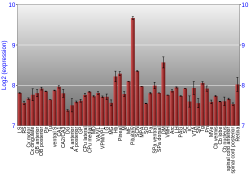 Expression graph