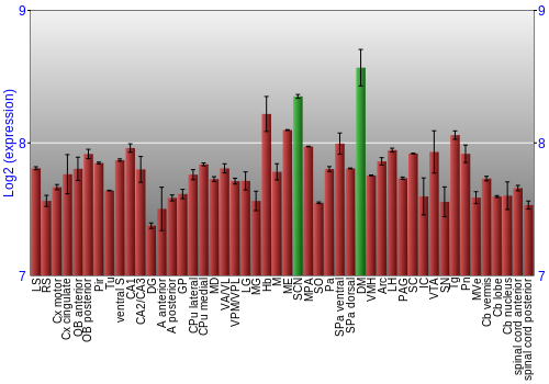 Multi-state expression graph