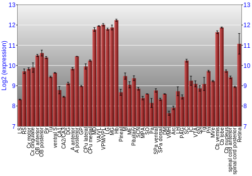 Expression graph