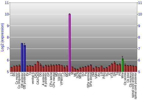 Multi-state expression graph