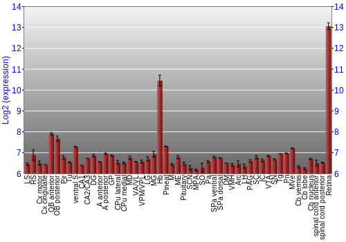 Expression graph