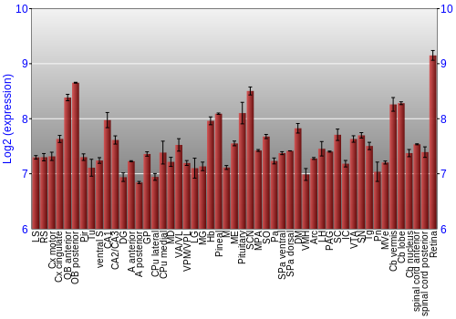 Expression graph