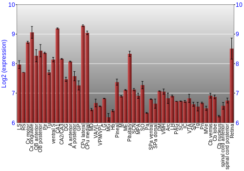 Expression graph