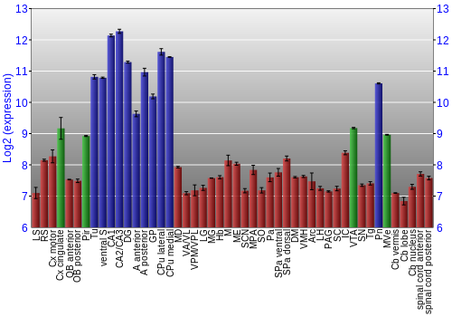 Multi-state expression graph