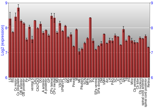 Expression graph