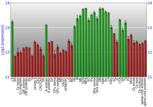 Multi-state expression graph