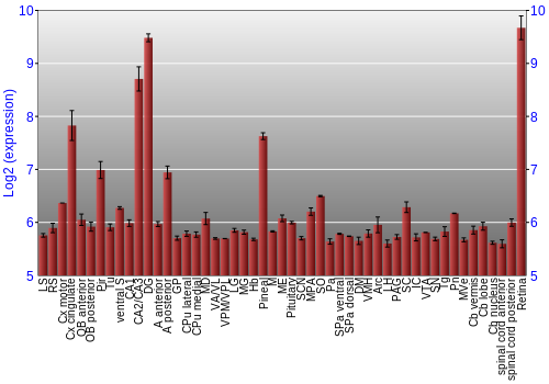 Expression graph