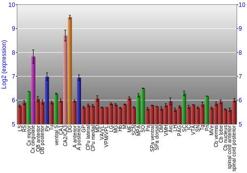Multi-state expression graph