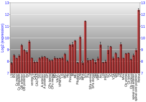 Expression graph