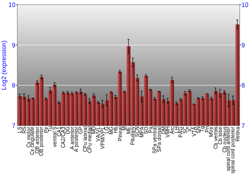 Expression graph