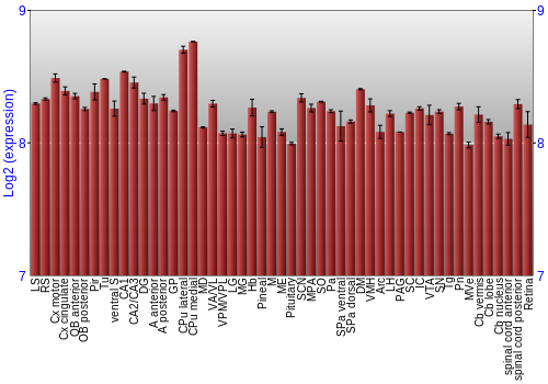 Expression graph