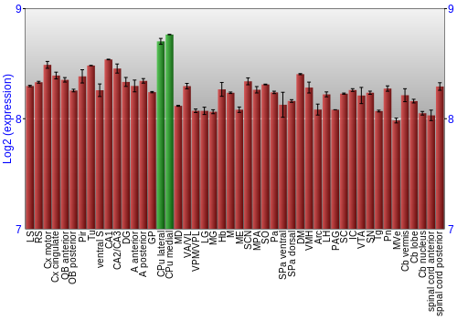 Multi-state expression graph