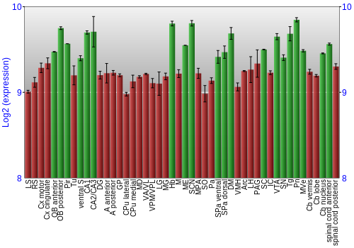 Multi-state expression graph