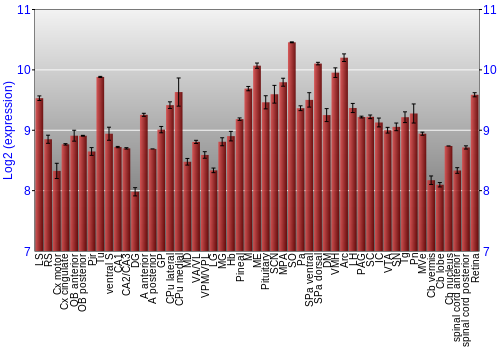 Expression graph