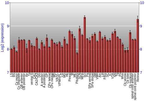 Expression graph