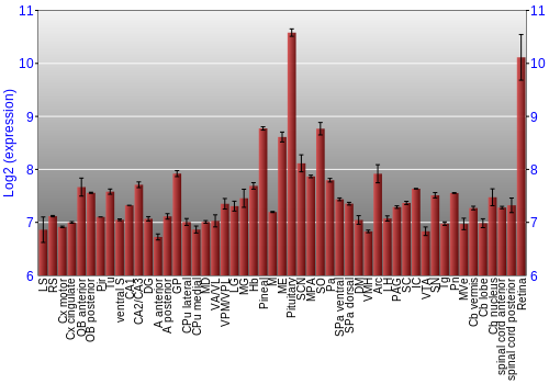 Expression graph