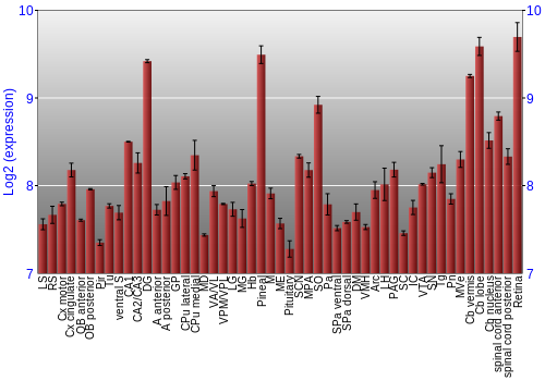 Expression graph