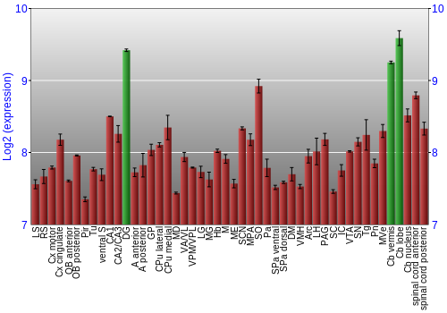 Multi-state expression graph