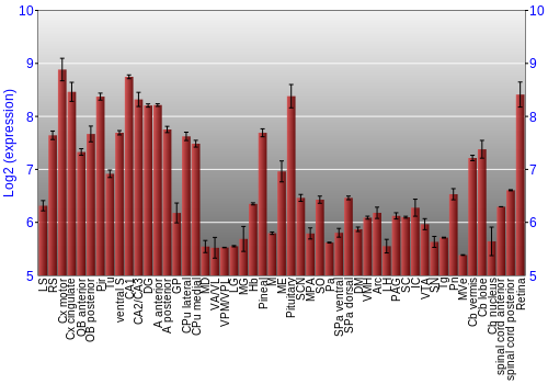 Expression graph