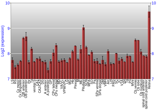 Expression graph