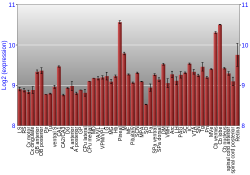 Expression graph