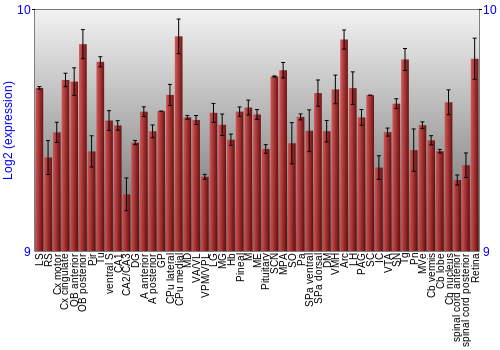 Expression graph