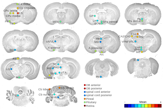 Expression map